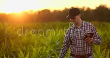 镜头耀斑：<strong>农民用</strong>平板监测收获，日落时的玉米地.. 一个拿着平板<strong>电脑</strong>的农夫